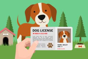 dog_licenses